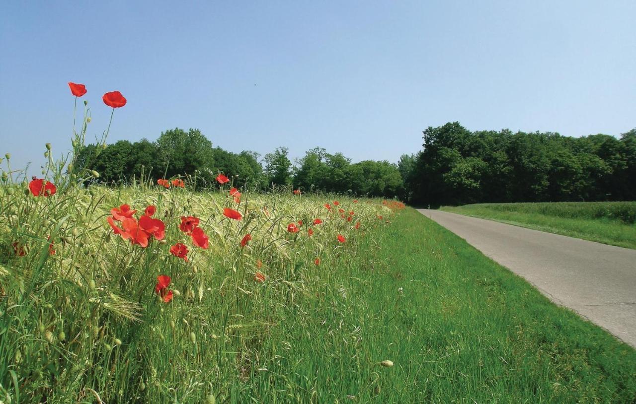 Gite De La Lombardie Lottinghen Exteriér fotografie